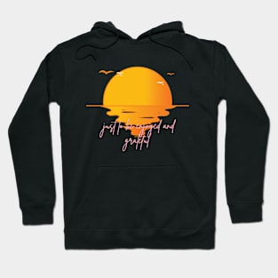 The sunset is just to be enjoyed and grateful Hoodie